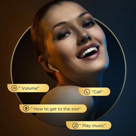 NNEIDS Silver Binaural Tws Bluetooth 5.0 Earphones - T03S Pride Version-1